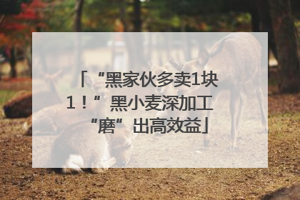 “黑家伙多卖1块1！”黑小麦深加工“磨”出高效益