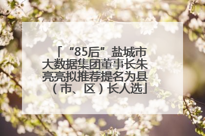 “85后”盐城市大数据集团董事长朱亮亮拟推荐提名为县（市、区）长人选