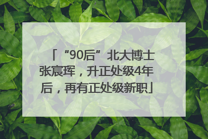 “90后”北大博士张宸珲，升正处级4年后，再有正处级新职
