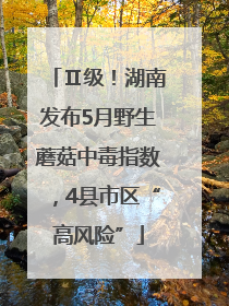 Ⅱ级！湖南发布5月野生蘑菇中毒指数，4县市区“高风险”