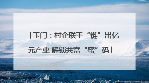 玉门：村企联手“链”出亿元产业 解锁共富“蜜”码