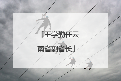 王学勤任云南省副省长