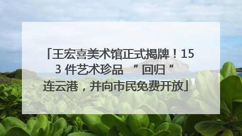 王宏喜美术馆正式揭牌！153 件艺术珍品 “ 回归 ” 连云港，并向市民免费开放