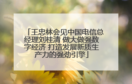 王忠林会见中国电信总经理刘桂清 做大做强数字经济 打造发展新质生产力的强劲引擎