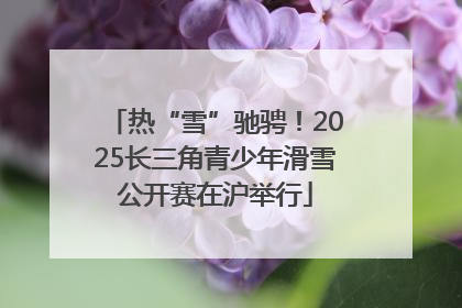热“雪”驰骋！2025长三角青少年滑雪公开赛在沪举行
