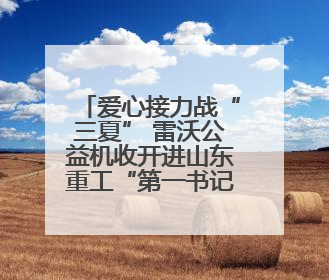 爱心接力战“三夏” 雷沃公益机收开进山东重工“第一书记村”