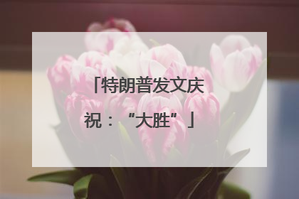 特朗普发文庆祝：“大胜”