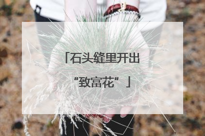 石头缝里开出“致富花”