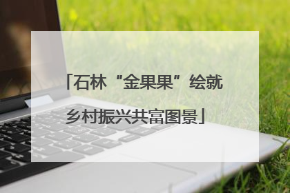 石林“金果果”绘就乡村振兴共富图景