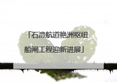 石澧航道艳洲枢纽船闸工程迎新进展