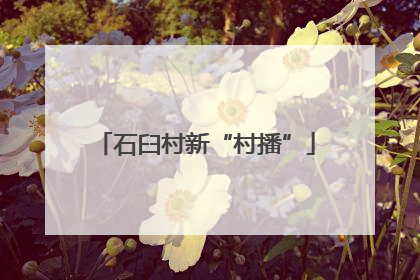 石臼村新“村播”