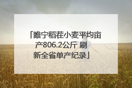 睢宁稻茬小麦平均亩产806.2公斤 刷新全省单产纪录