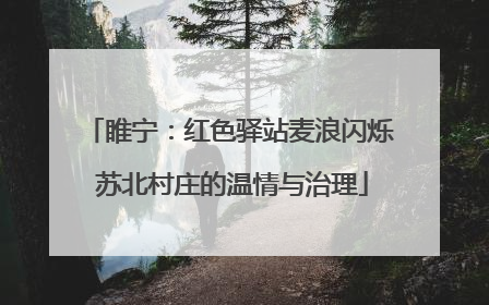 睢宁：红色驿站麦浪闪烁 苏北村庄的温情与治理