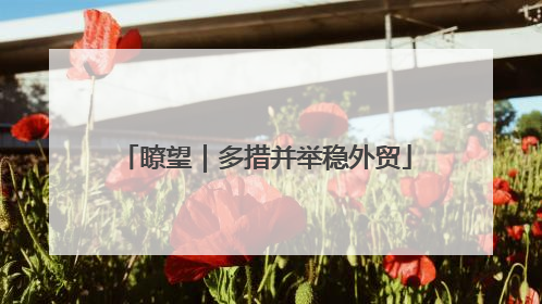 瞭望｜多措并举稳外贸