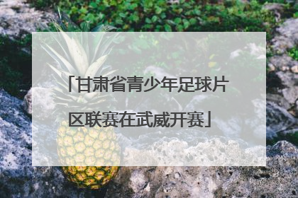 甘肃省青少年足球片区联赛在武威开赛