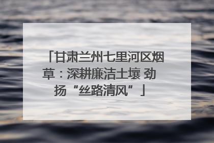 甘肃兰州七里河区烟草：深耕廉洁土壤 劲扬“丝路清风”