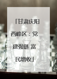 甘肃庆阳西峰区：党建强链 富民增收