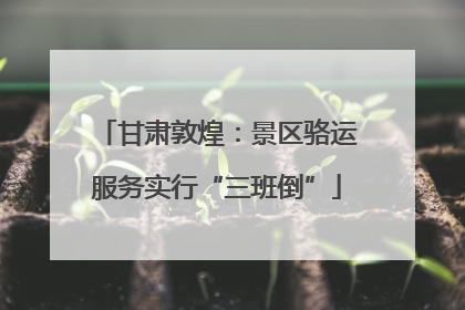甘肃敦煌：景区骆运服务实行“三班倒”