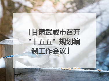 甘肃武威市召开“十五五”规划编制工作会议