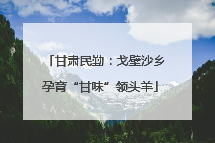 甘肃民勤：戈壁沙乡孕育“甘味”领头羊