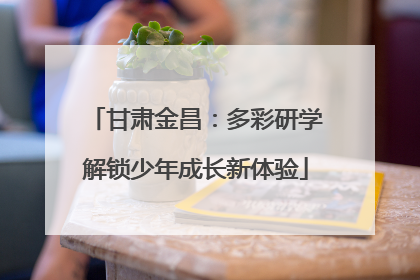 甘肃金昌：多彩研学解锁少年成长新体验