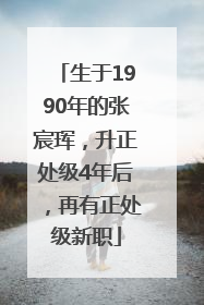 生于1990年的张宸珲，升正处级4年后，再有正处级新职