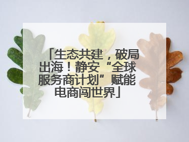 生态共建，破局出海！静安“全球服务商计划”赋能电商闯世界