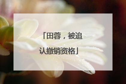 田蓉，被追认撤销资格