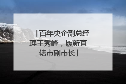 百年央企副总经理王秀峰，履新直辖市副市长