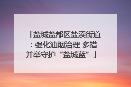 盐城盐都区盐渎街道：强化油烟治理 多措并举守护“盐城蓝”
