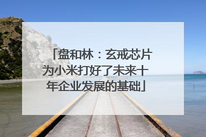盘和林：玄戒芯片为小米打好了未来十年企业发展的基础