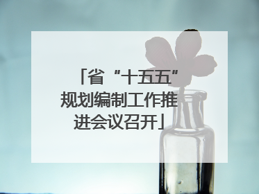 省“十五五”规划编制工作推进会议召开