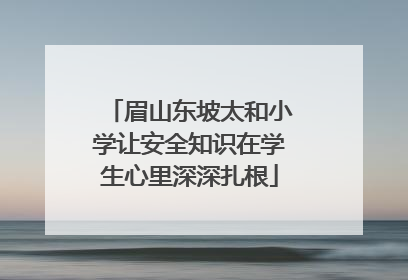 眉山东坡太和小学让安全知识在学生心里深深扎根