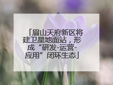 眉山天府新区将建卫星地面站，形成“研发-运营-应用”闭环生态