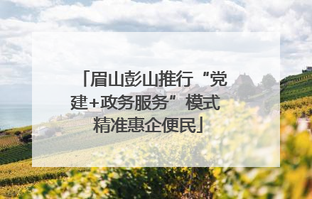 眉山彭山推行“党建+政务服务”模式 精准惠企便民