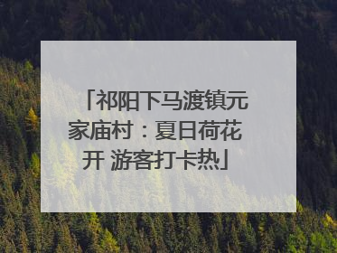 祁阳下马渡镇元家庙村：夏日荷花开 游客打卡热