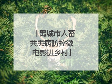 禹城市人畜共患病防控微电影进乡村