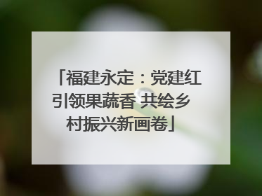 福建永定：党建红引领果蔬香 共绘乡村振兴新画卷