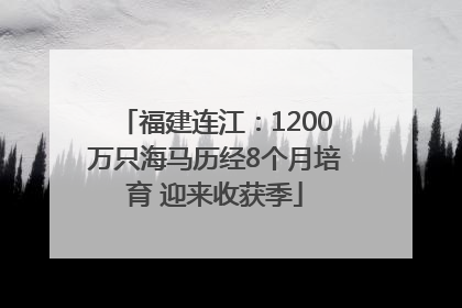 福建连江：1200万只海马历经8个月培育 迎来收获季