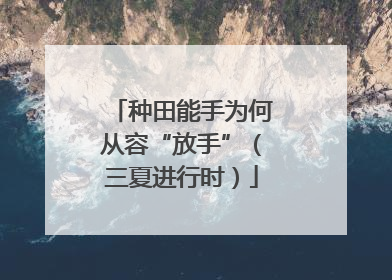 种田能手为何从容“放手”（三夏进行时）