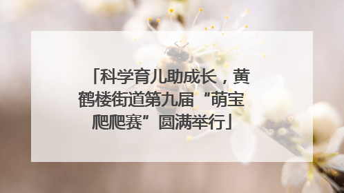 科学育儿助成长，黄鹤楼街道第九届“萌宝爬爬赛”圆满举行