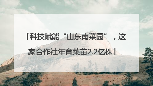 科技赋能“山东南菜园”，这家合作社年育菜苗2.2亿株
