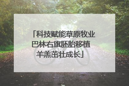 科技赋能草原牧业 巴林右旗胚胎移植羊羔茁壮成长
