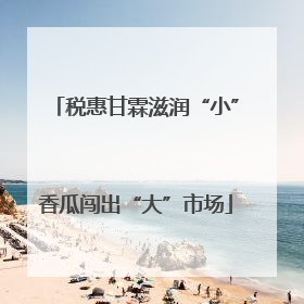 税惠甘霖滋润“小”香瓜闯出“大”市场