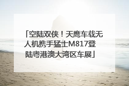 空陆双侠！天鹰车载无人机携手猛士M817登陆粤港澳大湾区车展