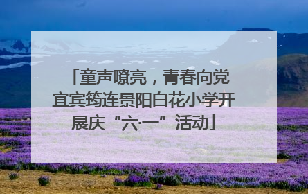 童声嘹亮，青春向党 宜宾筠连景阳白花小学开展庆“六·一”活动