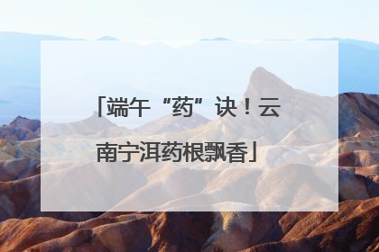 端午“药”诀！云南宁洱药根飘香