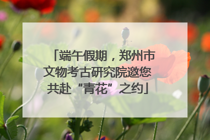 端午假期，郑州市文物考古研究院邀您共赴“青花”之约