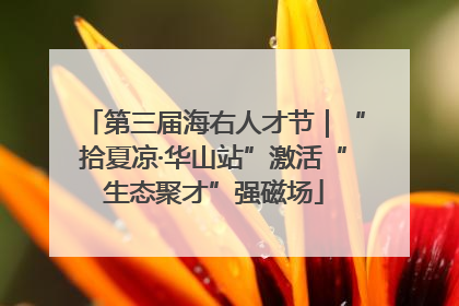 第三届海右人才节｜“拾夏凉·华山站”激活“生态聚才”强磁场