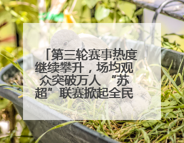第三轮赛事热度继续攀升，场均观众突破万人 “苏超”联赛掀起全民观赛热潮